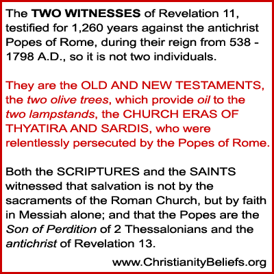 Two Witnesses of Revelation 11